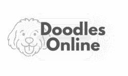 doodlesonline